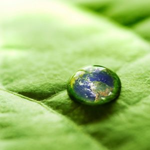 Water drop on a leaf